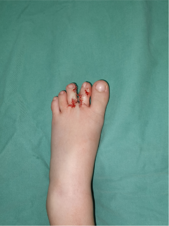 微信图片_2026-06-13_114546_043.png