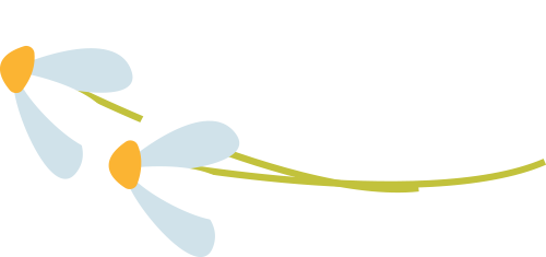 微信图片_2026-06-13_150936_653.png