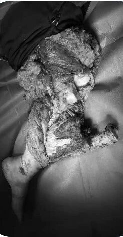 微信图片_2026-06-13_163456_938.jpg